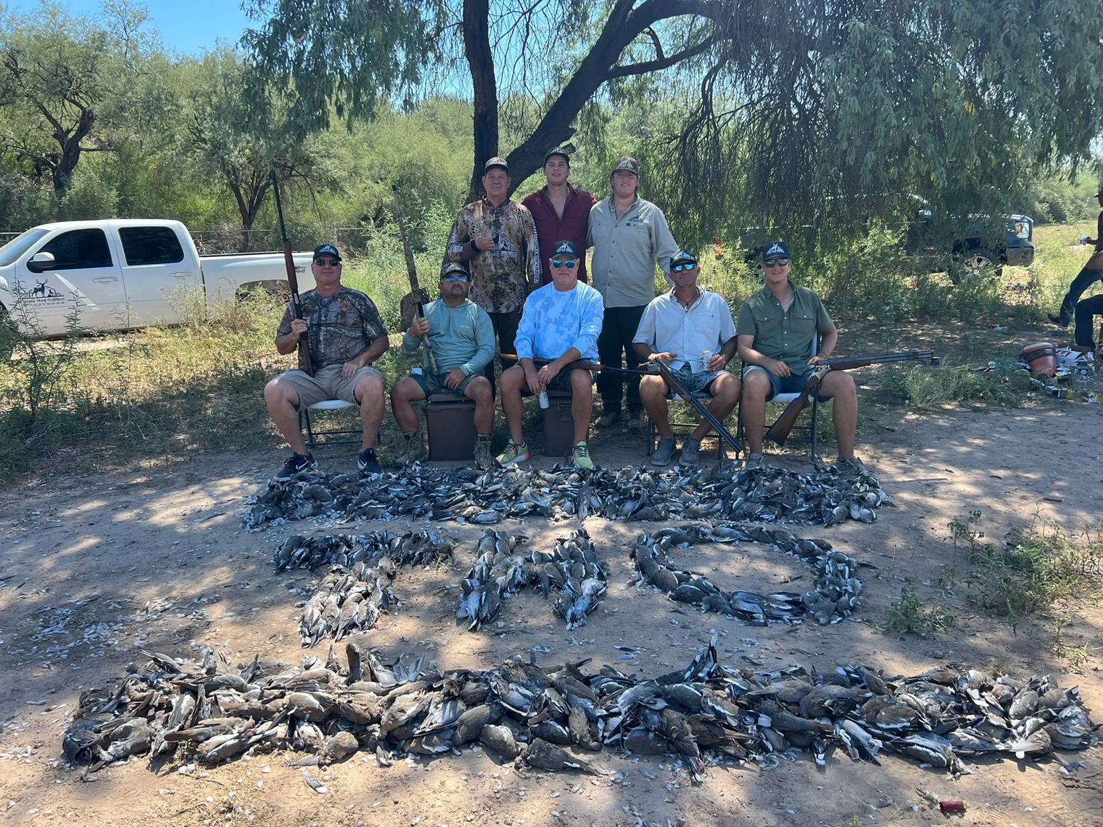 Dove Hunts