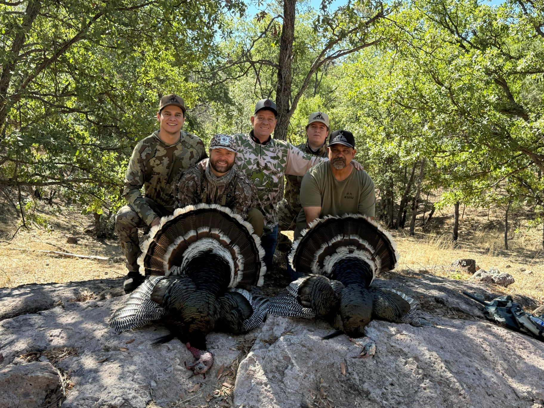 Gould's Turkey