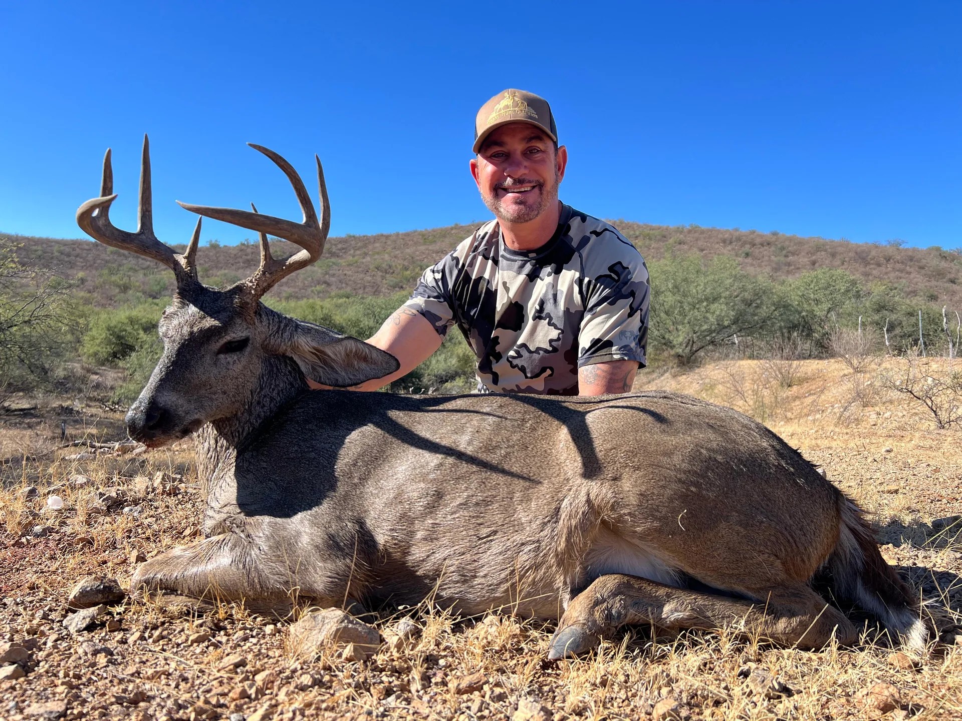 Coues Deer